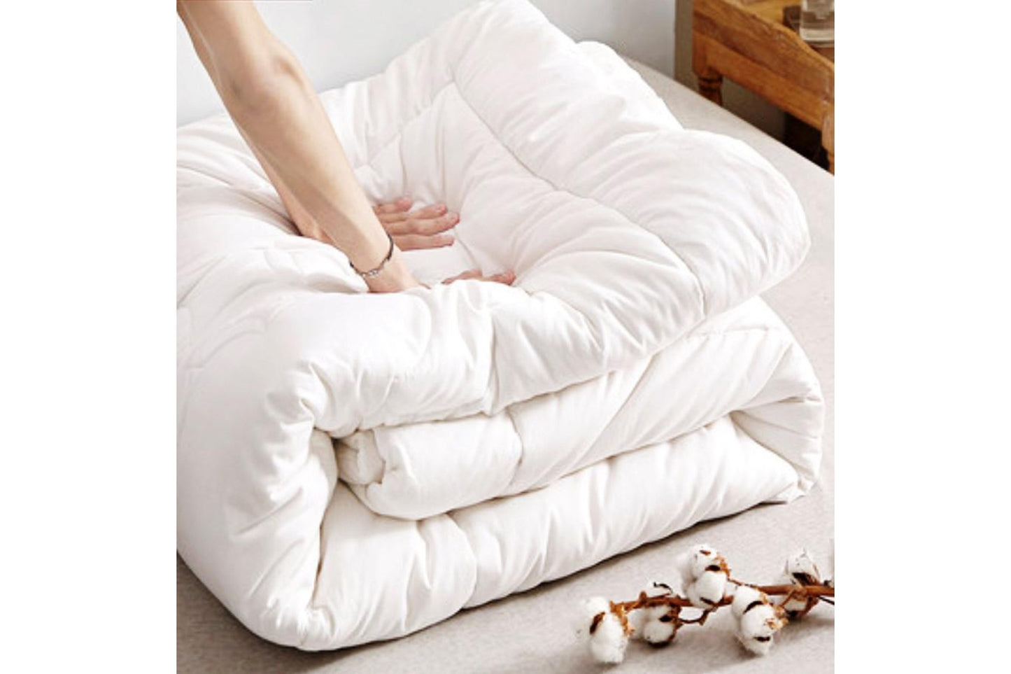 Ramesses 800gsm Ultra Soft Microfiber Down Quilt