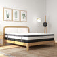 Osteopedic Euro Top Pocket Spring Mattress