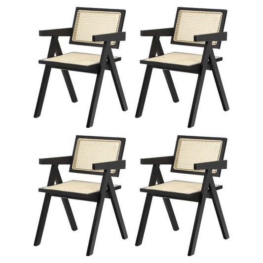 Oikiture 4x Dining Chairs Rattan Chair Wooden Balck