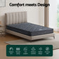 Serena Series Tight Top Mattress Bonnell Spring 16cm